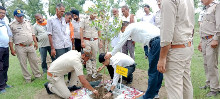 पर्यावरण संरक्षण के लिए पौधा रोपण जरूरी - राघव शर्मा.....उपायुक्त ने बसाल में रोपित किया बेहड़ा का औषधीय पौधा