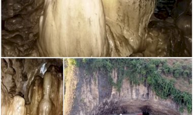 -हिमाचल प्रदेश : जोगिन्दर नगर क्षेत्र के कुड्ड में नागेश्वर महादेव की है धार्मिक प्राचीन गुफा, प्राकृतिक देन निर्मित हैं अनेकों शिवलिंग........