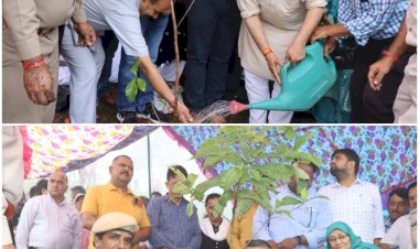 निहोग में.....  वन  महोत्सव  की अजय सोलंकी  ने अध्यक्षता  की .......