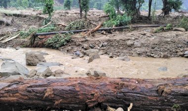 सिरमौरी ताल में बादल फटने से मलबे में दबे पांच लोग.... दो के शव निकाले गए, तीन की तलाश जारी......    डीसी  सुमित खिमटा राहत व बचाव के लिए स्वयं डटे रहे मोर्चे पर