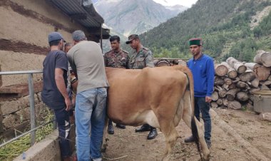 भारतीय सेना पशु चिकित्सा टीम ने  जिले में....... रोग के उपचार के लिए शिविरों का आयोजन.....