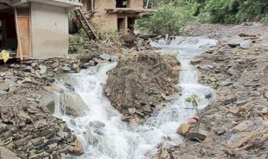 हरिपुर के धंगड़ में भारी बारिश से हुए नुक्सान का जायजा लिया....      पांच किलोमीटर पैदल चलकर आपदा प्रभावितों से मिलने पहुंचे डिप्टी सीएम....