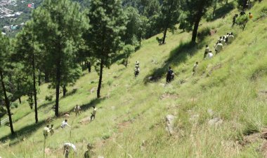 कुल्लू के शेता फाट पीज में 74वां वृत स्तरीय वन मोहत्सव मनाया .......