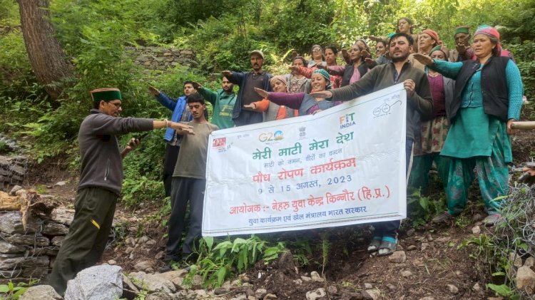 मेरी माटी मेरा देश पौध रोपण कार्यक्रम के तहत ग्राम पंचायत चांसू में 75 पौधे रोपे... नेहरू युवा केंद्र द्वारा कार्यक्रम का आयोजन किया गया....