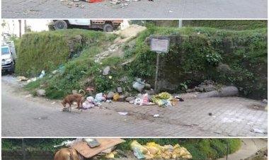 पढ़े लिखे लोग भी पीछे नहीं है खुले में कचरा फै कनें में...... डोर- टू -डोर गारेबज स्कीम को लग रहा है झटका