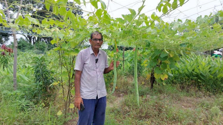 प्राकृतिक खेती को अपनाकर सफलता की कहानी लिखी...........  हरोली के प्रगतिशील किसान विजय कुमार ने, प्रतिमाह कमा रहे 20 हज़ार......