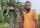 मुश्ताक गुज्जर ने डैªगन फू्रट की खेती कर अपनी किस्मत बदलने में सफलता हासिल की
