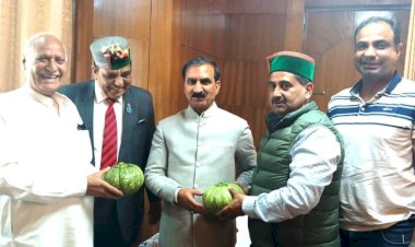 जैविक खेती के लिए युवाओं को प्रेरित कर रहे विधायक केवल सिंह पठानिया