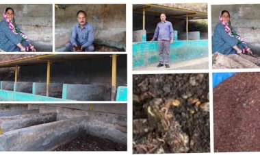 वर्मीकम्पोस्ट पोषण पदार्थों से भरपूर एक उत्तम जैव जैव उर्वरक है