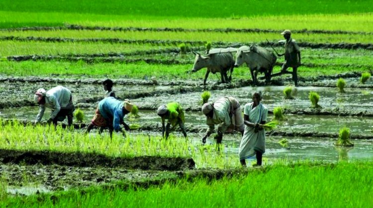 सरकार ने सहकारी क्षेत्र में शुरू की 40 नई योजनाएं