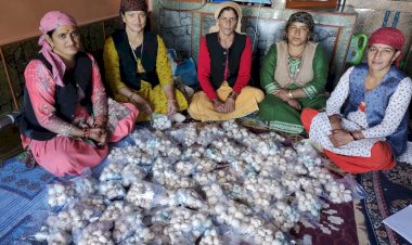 मशरूम की खेती कर सशक्त हुई हिमाचल की महिलाएं…..  -65 सहायता समूह ने एक साल में की 12 लाख से अधिक की कमाई