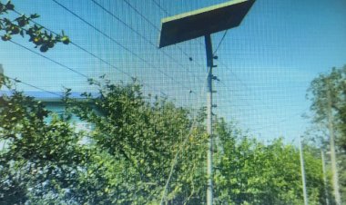 सोलर फेंसिंग: सुरक्षा कवच से खेतों में हरियाली, किसानों के चेहरों पर लाली