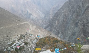 जाइका प्रोजेक्ट से शीत मरूस्थल में आ रही हरियाली