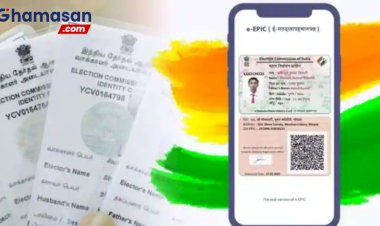 फोटोयुक्त मतदाता सूचियों की गतिविधियों के पर्यवेक्षण हेतु मण्डलायुक्त कांगड़ा प्रेक्क नियुक्त