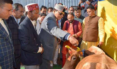 गोवंश का संरक्षण हम सभी का कर्तव्य - डॉ. शांडिल