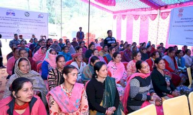 कड़ू व चिरायता की खेती में जाइका को मिली पहली कामयाबी -नाचन वन मंडल के तहत महिला समूहों ने उतारी पहली खेप