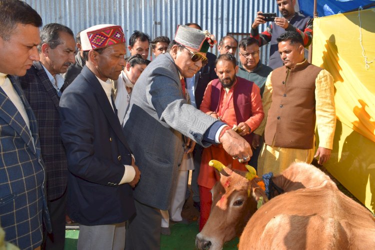 गोवंश का संरक्षण हम सभी का कर्तव्य - डॉ. शांडिल