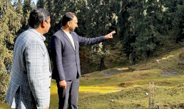 उपायुक्त ने नारकण्डा-दोजा मार्ग पर प्रस्तावित आइस स्केटिंग रिंक की भूमि का किया निरीक्षण