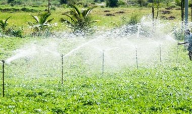 कृषि क्षेत्र की योजनाओं से किसानों के जीवन में आ रही खुशहाली