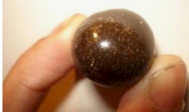 एक किलो 16 ग्राम चरस के पकड़ी,  आरोपी पुलिस हिरासत में