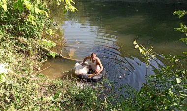 जल संरक्षण के साथ-साथ मछली पालन से हो सकती है अच्छी आय गांव अमनेड़ के ओंकार चंद और उलेड़ वचित्र सिंह कर रहे हैं मछली पालन