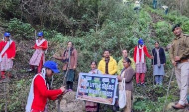 विशेष बीज बुआई  अभियान के अंतर्गत वन अग्नि से  प्रभावित  क्षेत्रों   में बधाह  की 2500 कलमें रोपित  रजनीश महाजन