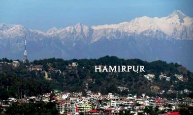 हमीरपुर जिले के पांचों विधानसभा क्षेत्रों में कुल 4,13,046 मतदाता