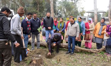 उपायुक्त ने घंडावल में बांस की विभिन्न प्रजातियो के पौधे रोपित कर किया वेम्वू वाटिका का शुभारंभ