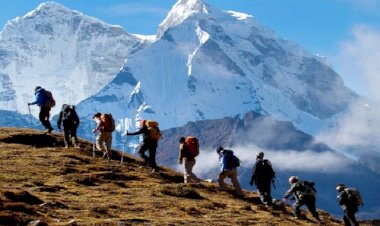 धर्मशाला वन वृत्त में ट्रेकिंग के लिए प्रवेश और अन्य विविध शुल्क कम किए गए