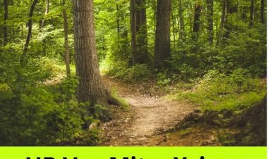 ऊना वनमंडल के तहत 6 फरवरी को होगी वनमित्र भर्ती, 2,389 योग्य अभ्यर्थी वनमित्र भर्ती प्रक्रिया में लेंगे भाग