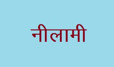 ताल में भेड़ों की नीलामी 9 दिसंबर को