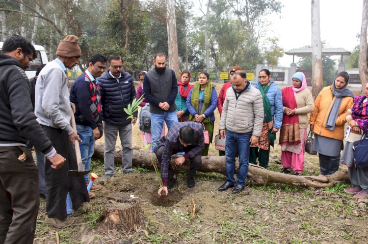 उपायुक्त ने घंडावल में बांस की विभिन्न प्रजातियो के पौधे रोपित कर किया वेम्वू वाटिका का शुभारंभ