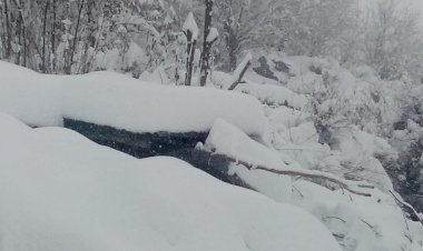 पांगी किलाड़ में 1 फीट ताजा हिमपात, मुछ गांव में छाया हिमखंड का खतरा