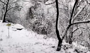 जिला के ऊपरी इलाकों में बर्फबारी का दौर जारी. जिला प्रशासन ने जारी की एडवाइजरी