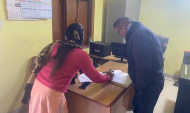 उपायुक्त ने किया नेहली धीड़ा राजकीय प्राथमिक पाठशाला और ग्राम पंचायत का किया औचक निरीक्षण