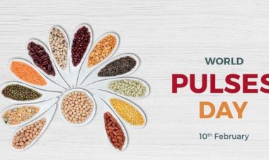 प्रदेश में 10 फरवरी को मनाया जाएगा विश्व दलहन दिवस