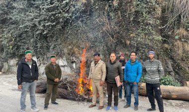 अनाधिकृत पौधों को मौके पर ही जला कर जिला के बागवानों को नुकसान से बचाया गया