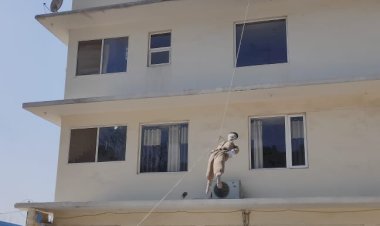 सिरमौर की तहसील काला अंब के मैस. मेट्रो डेकोरेटिव प्राइवेट लिमिटेड उद्योग में आयोजित हुई अग्नि सुरक्षा पर मौक अभ्यास व जागरूकता कार्यक्रम