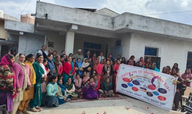 विभागीय योजनाओं का लाभ उठाएं पात्र महिलाएं, ग्राम पंचायत बारीं में जिला कार्यक्रम अधिकारी ने की अपील