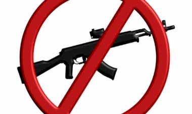 बड़सर उपमंडल में 14 मार्च से 30 अप्रैल तक हथियारों पर पूर्ण प्रतिबंध