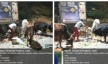 नप ने गारबेज एक्ट के तहत खुले में कचरा फैं कने वालों के खिलाफ दिखाई सख्ती, काटे चालान