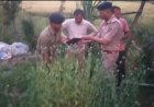 पुलिस ने अफीम के करीब 186 से पौधे नष्ट किए