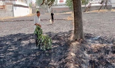 पटाखों की चिंगारी से भड़की आग, 10 बीघा खेत में गेहूं की फसल राख