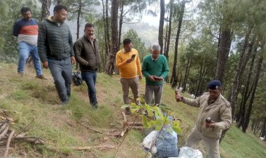 भारी मात्रा में अवैध शराब की खेप पकड़ी,आबकारी विभाग ने कारवाई की