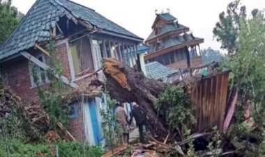 अंधड़ से रसोईघर पर पेड़ गिरा,  बाप की मौत बेटा हादसे में घायल,