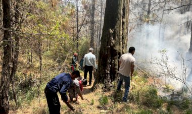 बलद्वाड़ा के जंगल में लगी आग, जाइका और वन विभाग की टीम ने बुझाई