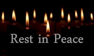 सांप के काटने से 7 वर्षीय बच्ची की मौत