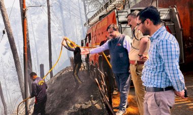 डीसी-एसपी ने टूटीकंडी बालिका आश्रम के समीप जंगल में लगी आग का मौके पर जाकर लिया जायजा