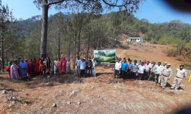 वन विभाग ने जमटा में चलाया मिशन लाइफ जागरूकता अभियान