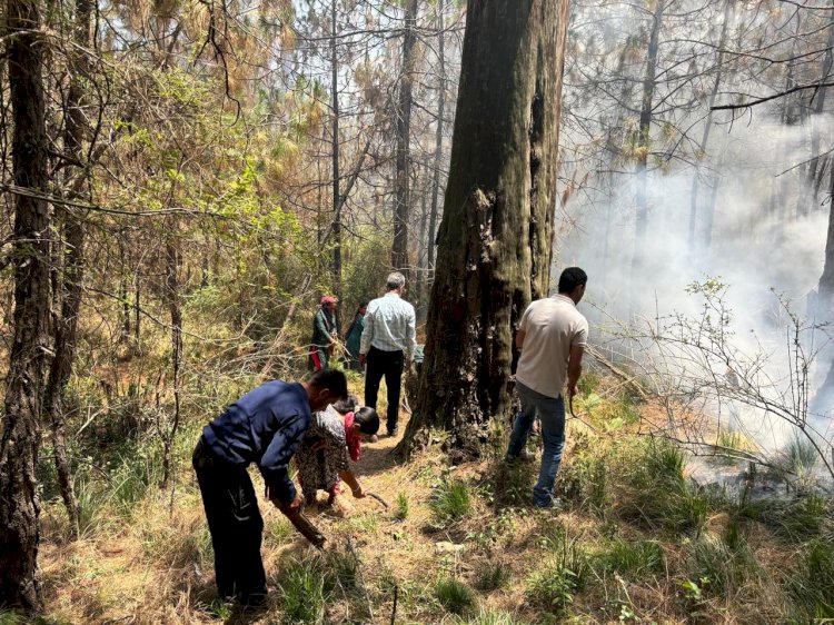 बलद्वाड़ा के जंगल में लगी आग, जाइका और वन विभाग की टीम ने बुझाई